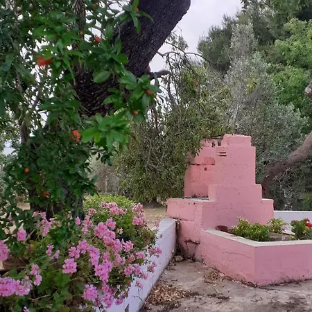 In Apartmán