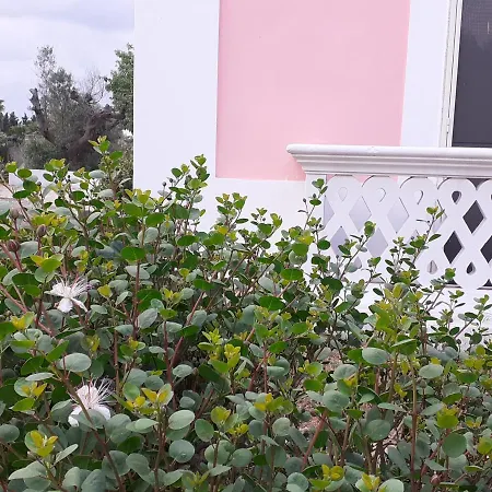 In Apartmán